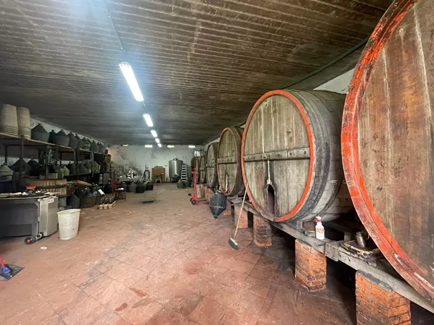 Immagine 33 di Rustico / casale in vendita  in Via della Chiesa XXXI 536 a Lucca