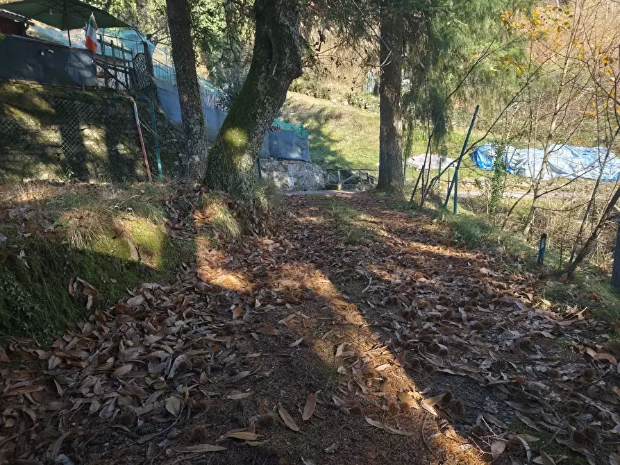 Immagine 15 di Terratetto in vendita  in Località Grabbia 1 a Lucca