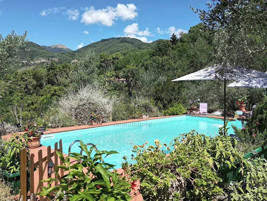 Immagine 26 di Rustico / casale in vendita  in Via Vergaglia 11 a Camaiore