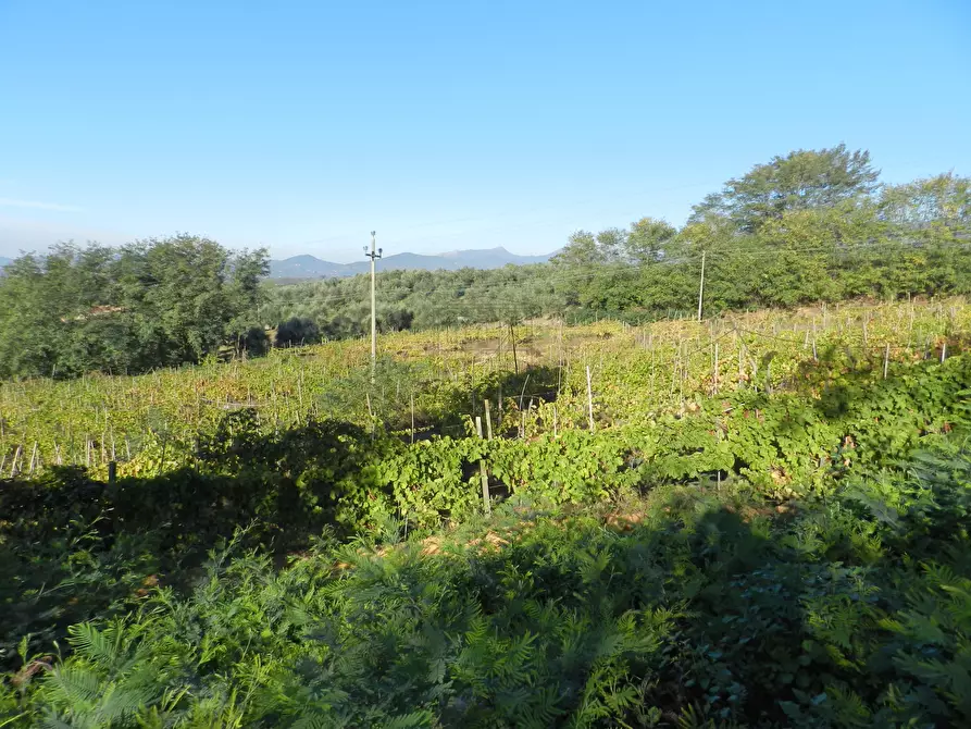 Immagine 26 di Rustico / casale in vendita  in Via di Palmata 425 a Lucca