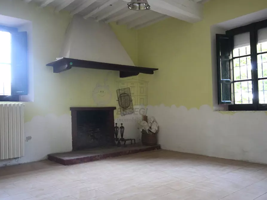 Immagine 26 di Azienda agricola in vendita  in Via Tofori a Capannori