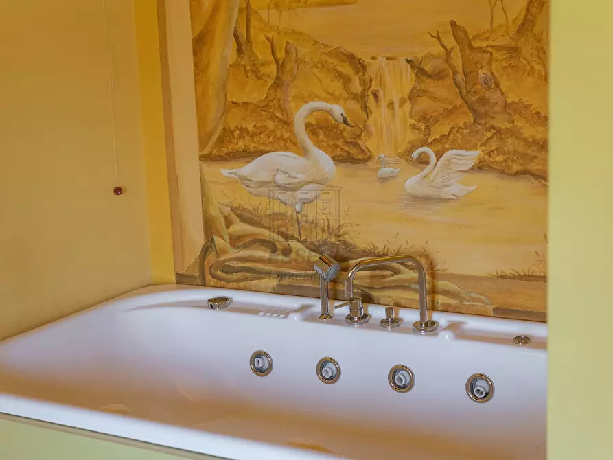 Immagine 35 di Rustico / casale in vendita  in Via di Montecarlo 59 a Lucca