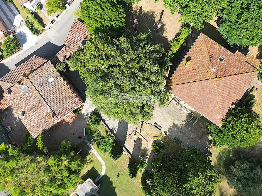 Immagine 6 di Villa in vendita  a Lucca