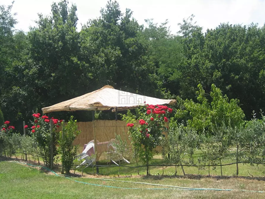 Immagine 20 di Rustico / casale in vendita  in via di san martino a Lucca