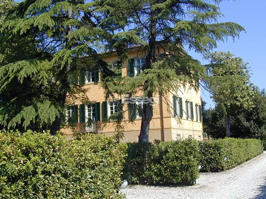 Immagine 1 di Villa in vendita  in Via Nuova per Pisa a Lucca