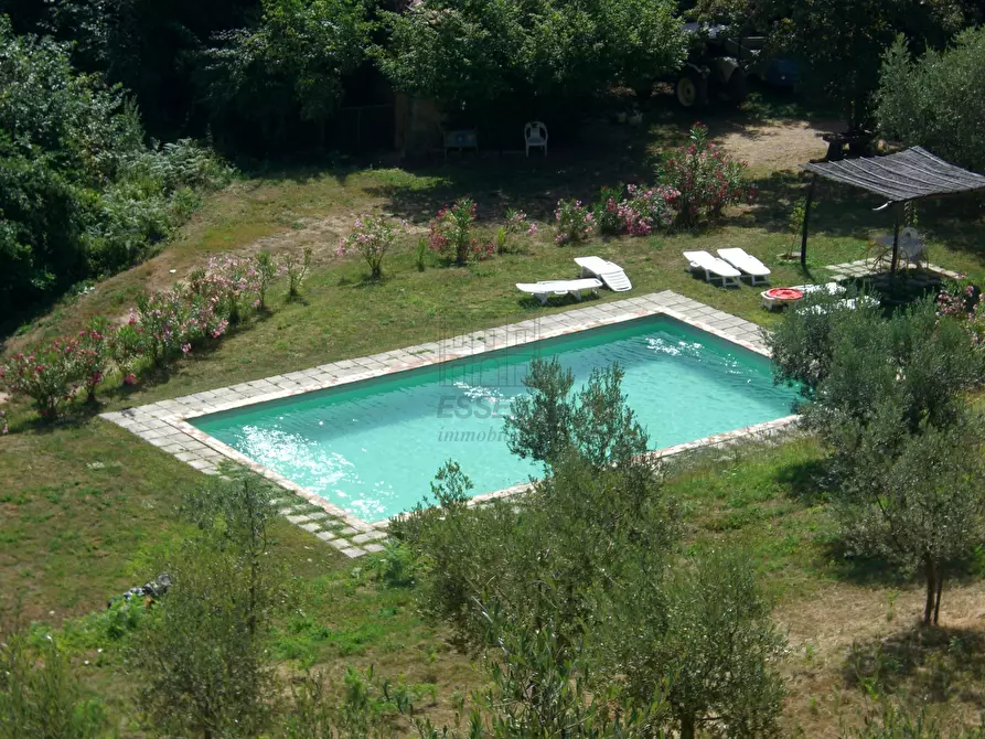 Immagine 5 di Rustico / casale in vendita  in viadon aldo mei a Buti