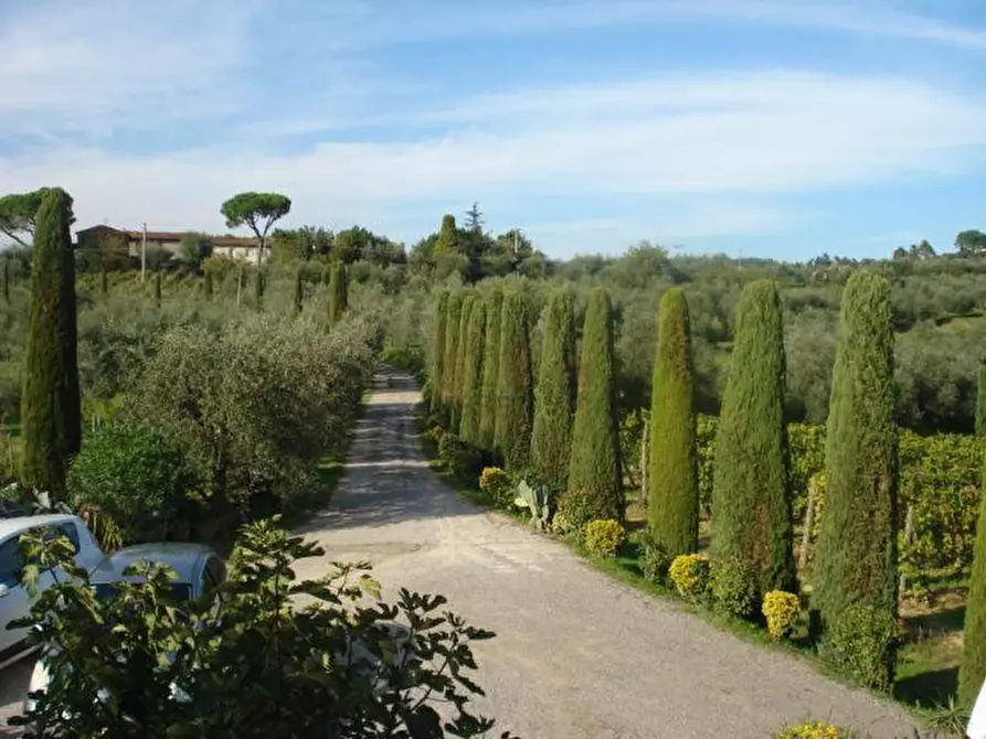 Immagine 28 di Rustico / casale in vendita  in via di san martino a Lucca