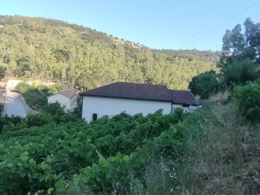 Immagine 10 di Casa indipendente in vendita  in Via San Sebastiano 11 a Palizzi