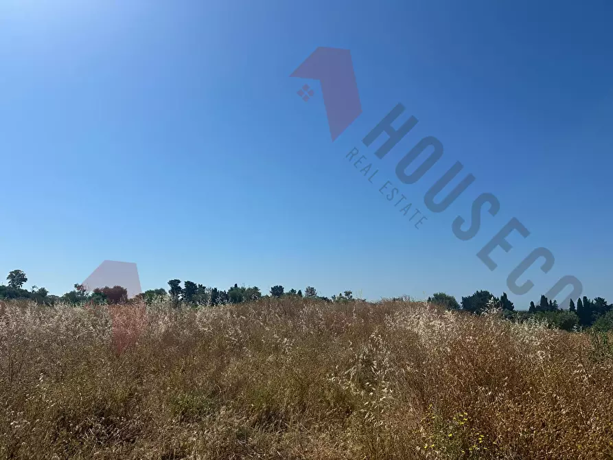 Immagine 2 di Terreno agricolo in vendita  a Quartu Sant'elena