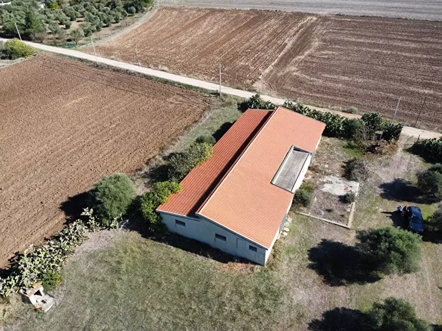 Immagine 6 di Magazzino in vendita  a Monastir