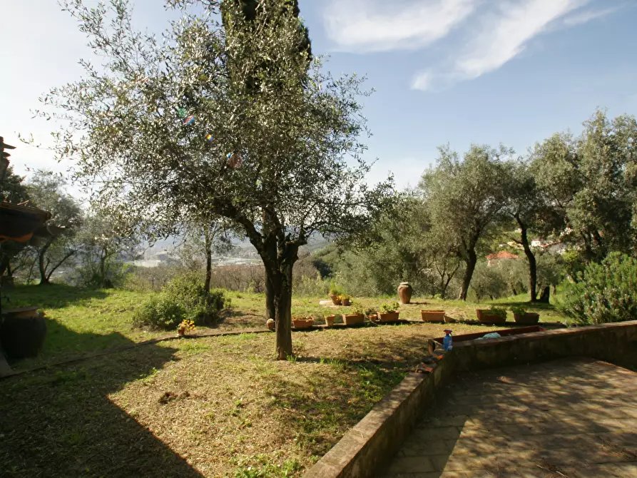 Immagine 6 di Casa trifamiliare in vendita  a Arcola