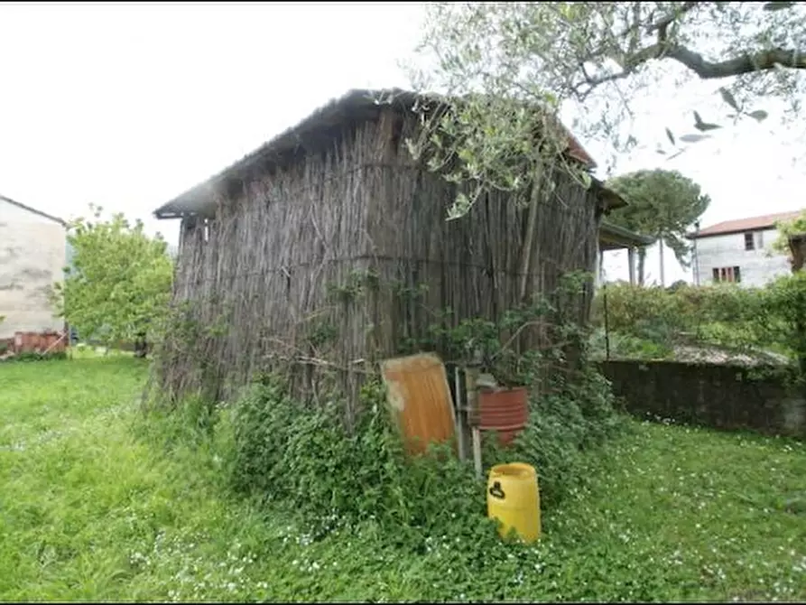 Immagine 3 di Terreno agricolo in vendita  a Ameglia