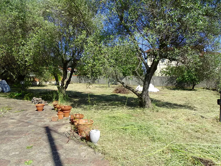 Immagine 24 di Villa in vendita  a Ortonovo