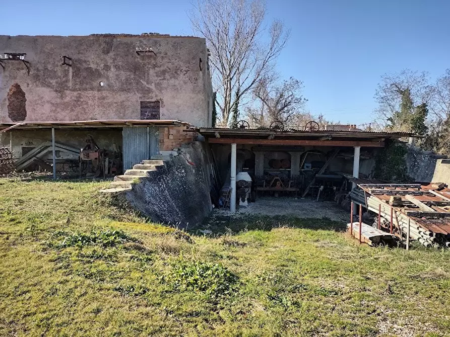Immagine 5 di Terreno agricolo in vendita  a Jesi
