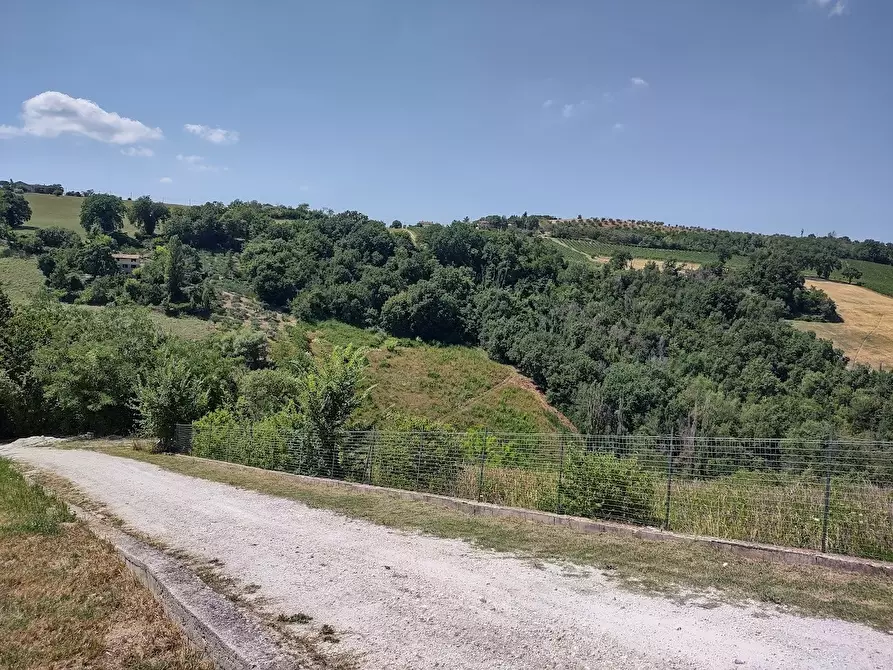Immagine 20 di Casa indipendente in vendita  in Via Palazzi 8 a Cupramontana