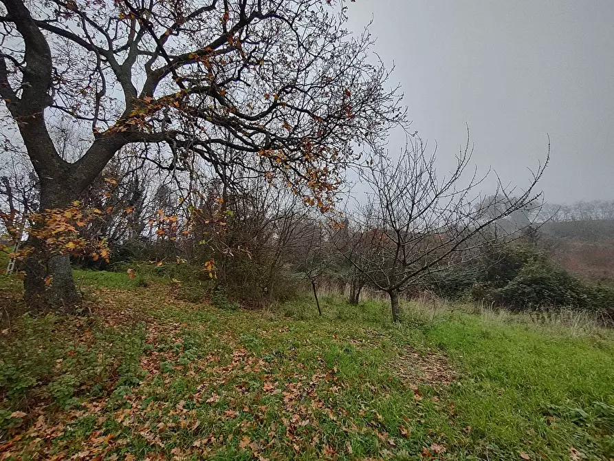 Immagine 22 di Casa indipendente in vendita  in Coste del molino snc a Poggio San Marcello