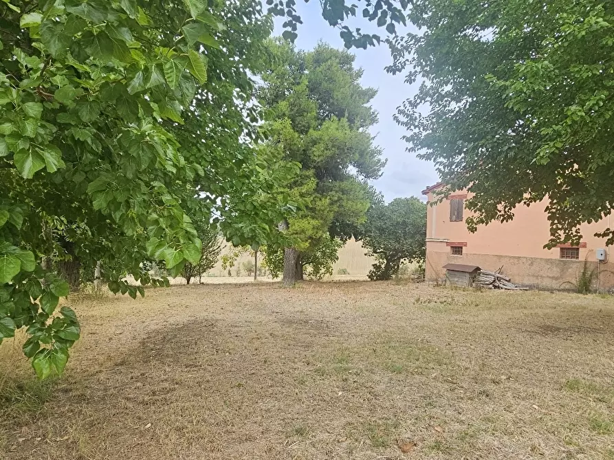 Immagine 1 di Casa indipendente in vendita  in Via Monte della Serra snc a Belvedere Ostrense