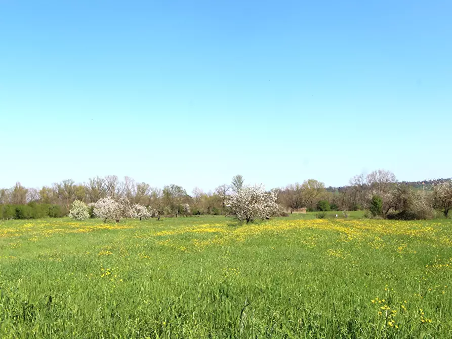 Immagine 52 di Porzione di casa in vendita  in Viale M. di Canossa a Valsamoggia