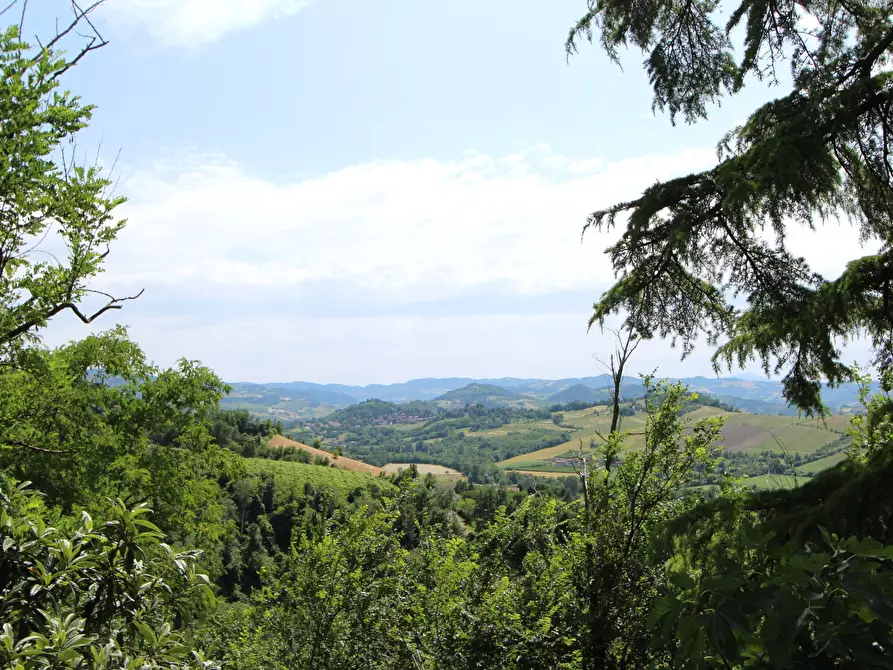 Immagine 10 di Porzione di casa in vendita  in Via Palazzetto 17 a Valsamoggia
