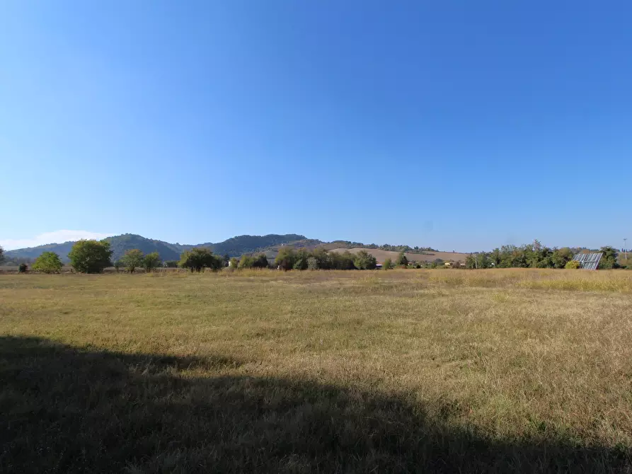 Immagine 8 di Terreno industriale in vendita  in Via Cassola a Valsamoggia