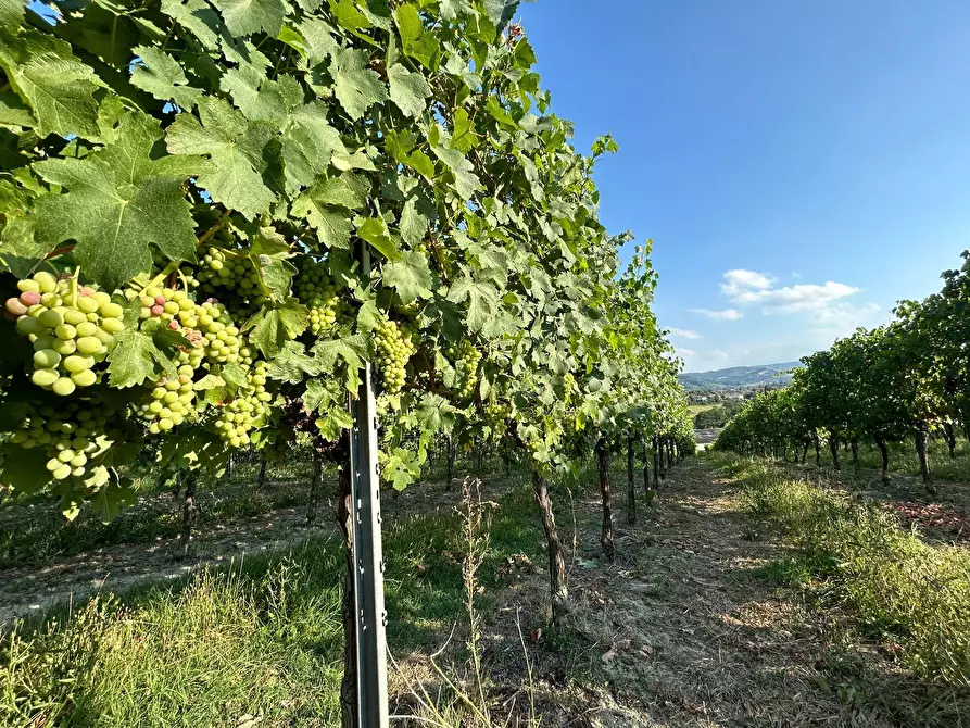 Immagine 15 di Porzione di casa in vendita  in Via Barlete a Valsamoggia