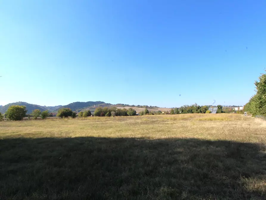 Immagine 7 di Terreno industriale in vendita  in Via Cassola a Valsamoggia