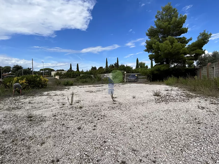Immagine 10 di Locale commerciale in affitto  in Via di Montenero a Livorno
