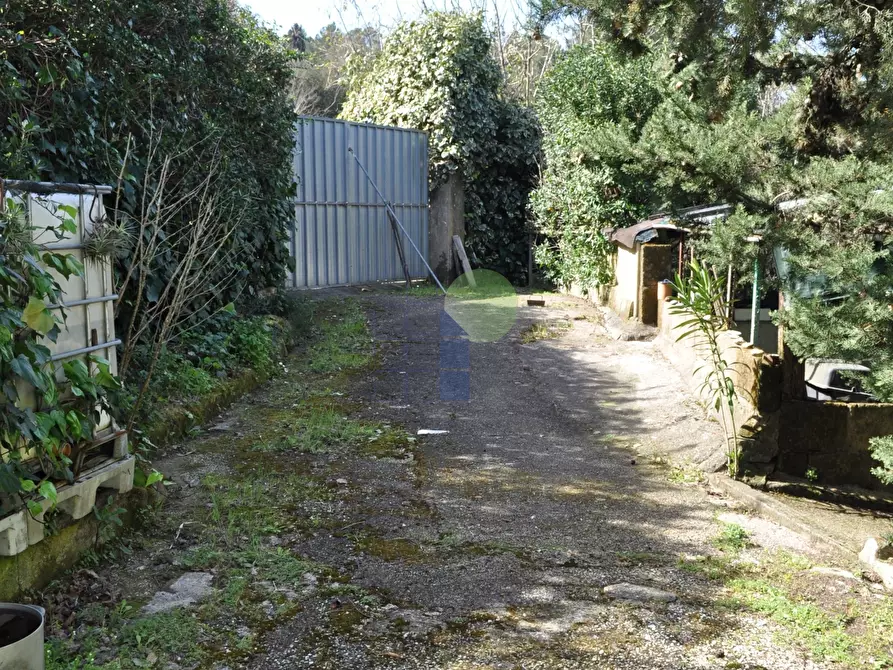Immagine 4 di Terreno agricolo in vendita  in Via di Popogna 441 a Livorno