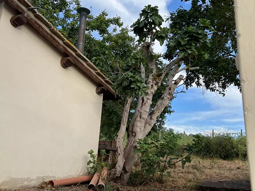 Immagine 11 di Rustico / casale in vendita  in Via di Vacciano a Impruneta