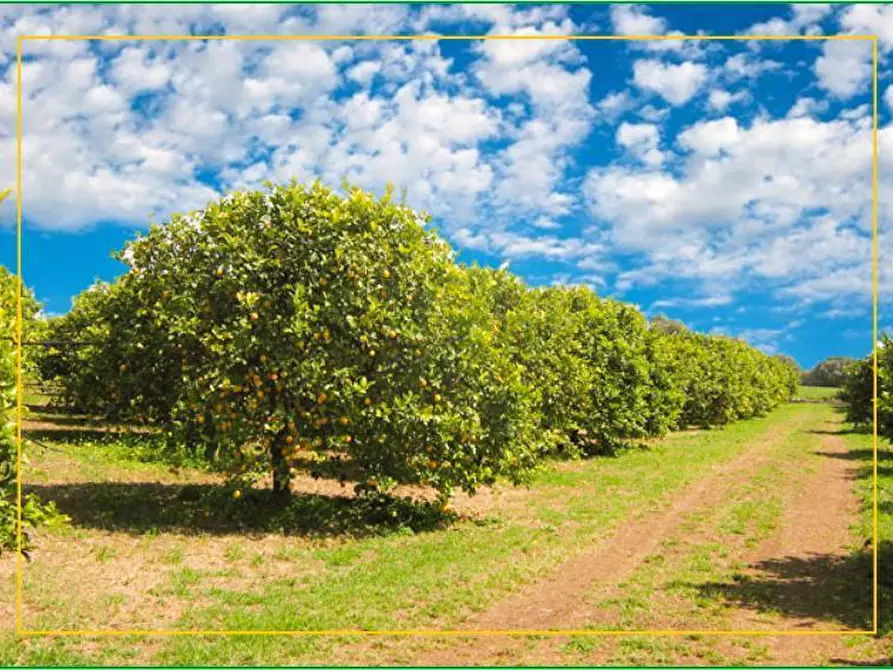 Immagine 1 di Terreno agricolo in vendita  in Corso Vittorio Emanuele 81 a Floridia