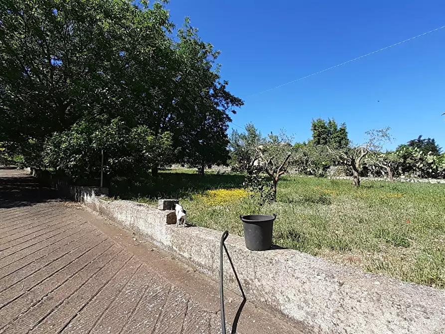 Immagine 20 di Rustico / casale in vendita  in Strada Provinciale 24 21 a Noto