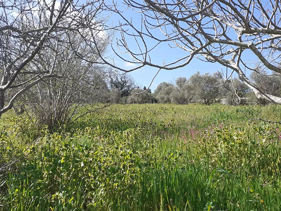 Immagine 50 di Villetta a schiera in vendita  in Via Acre 19 a Palazzolo Acreide