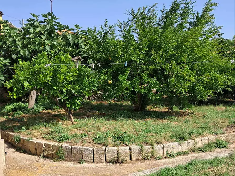 Immagine 4 di Villa in vendita  in Via Primosole 150 a Palazzolo Acreide