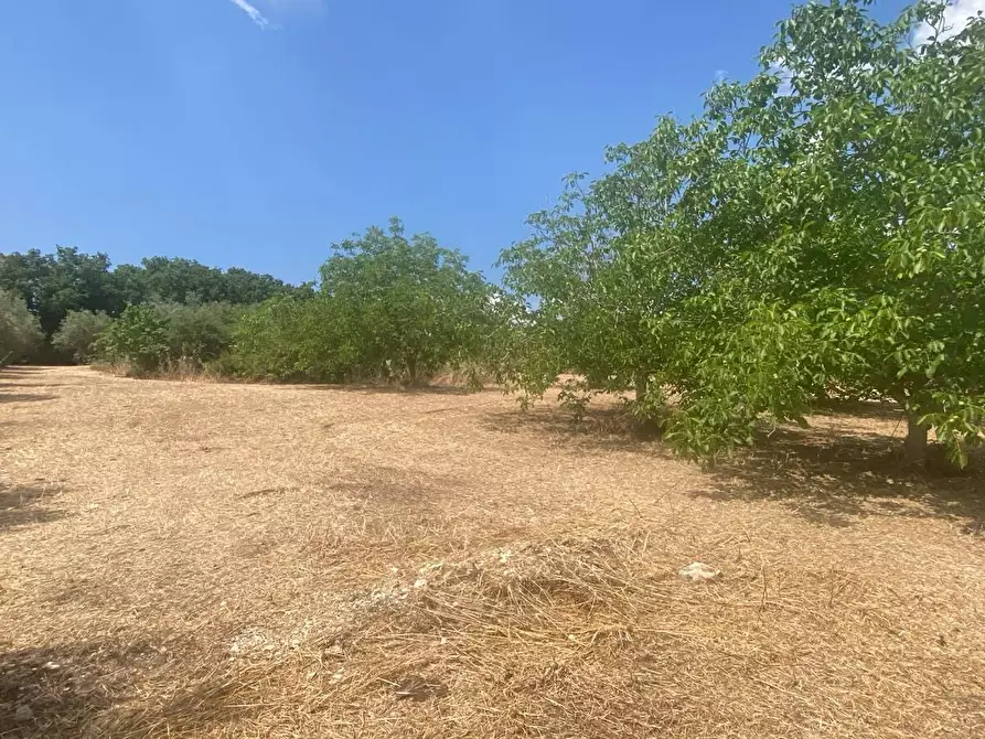 Immagine 53 di Villetta a schiera in vendita  in Via Acre 19 a Palazzolo Acreide