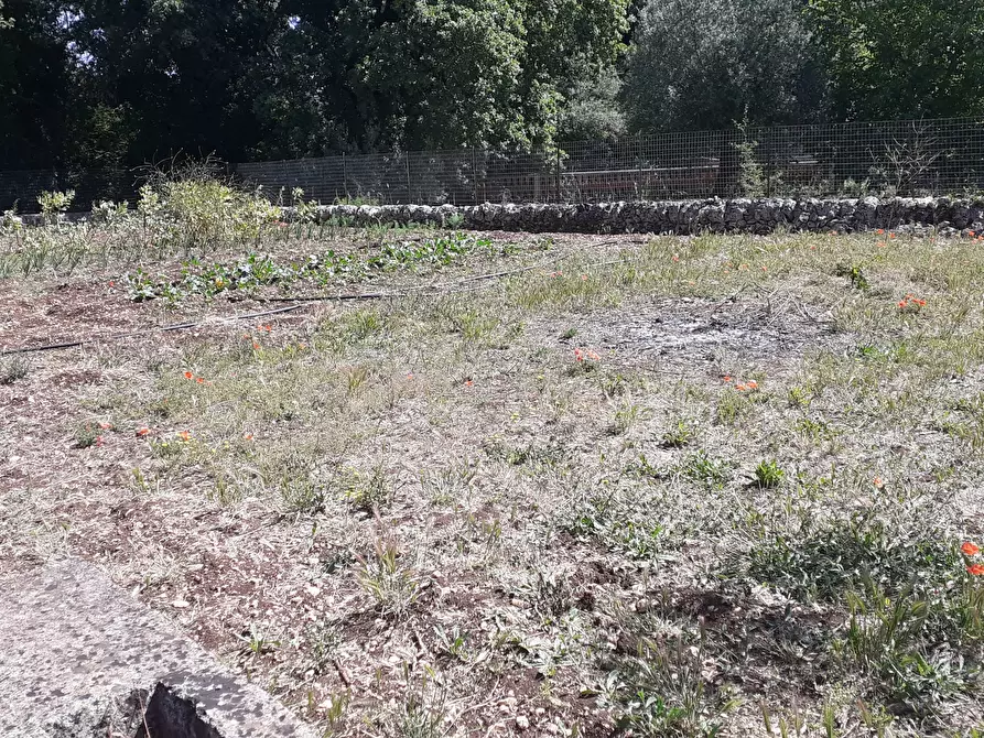 Immagine 42 di Rustico / casale in vendita  in Strada Provinciale 24 21 a Noto