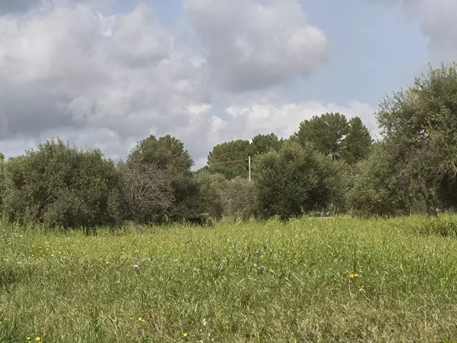Immagine 4 di Terreno agricolo in vendita  in Traversa Grotta Perciata a Siracusa
