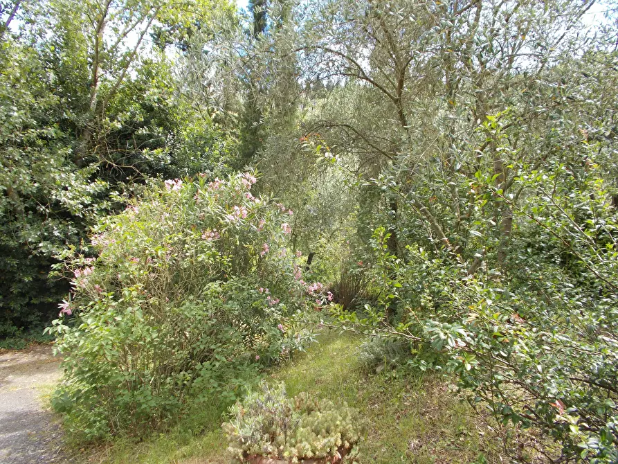 Immagine 12 di Villa in vendita  a Quarrata