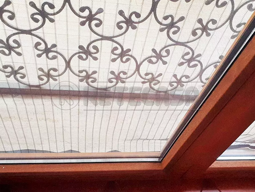 Immagine 22 di Casa bifamiliare in vendita  a Viareggio