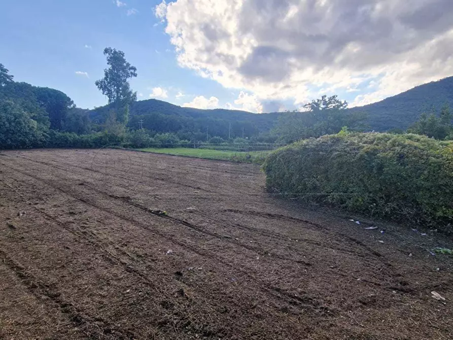 Immagine 1 di Terreno agricolo in vendita  a Montoro Superiore