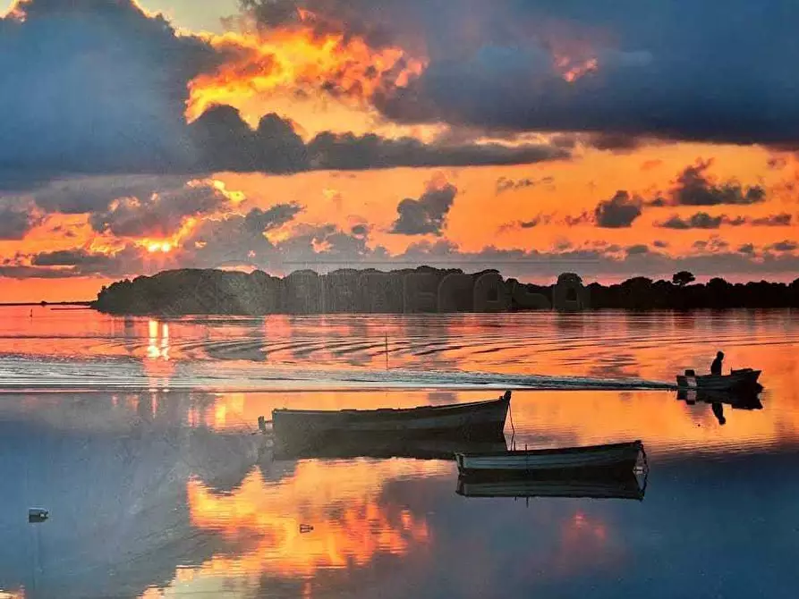 Immagine 6 di Villa in vendita  a Marsala