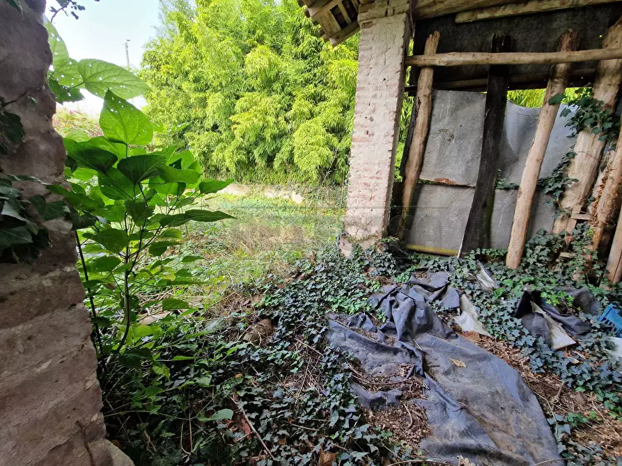 Immagine 12 di Rustico / casale in vendita  in Via Nervi a San Daniele Po
