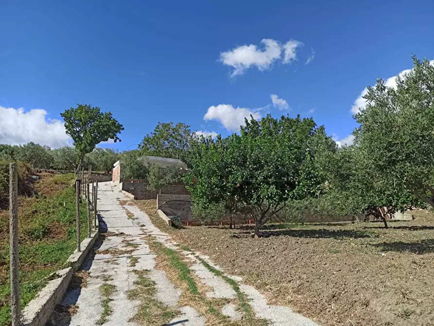 Immagine 16 di Rustico / casale in vendita  in Contrada Sant'Anna 39 a Messina