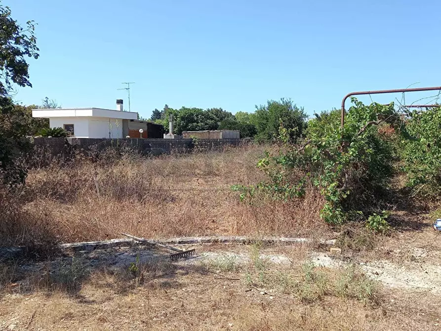 Immagine 6 di Terreno agricolo in vendita  a Maglie