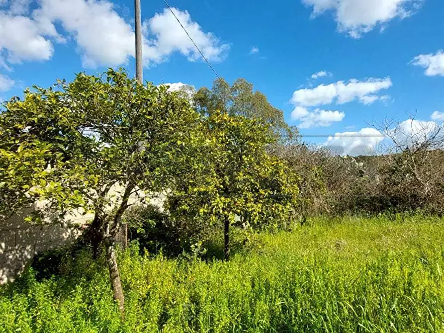 Immagine 7 di Villa in vendita  in Contrada Luci a Maglie