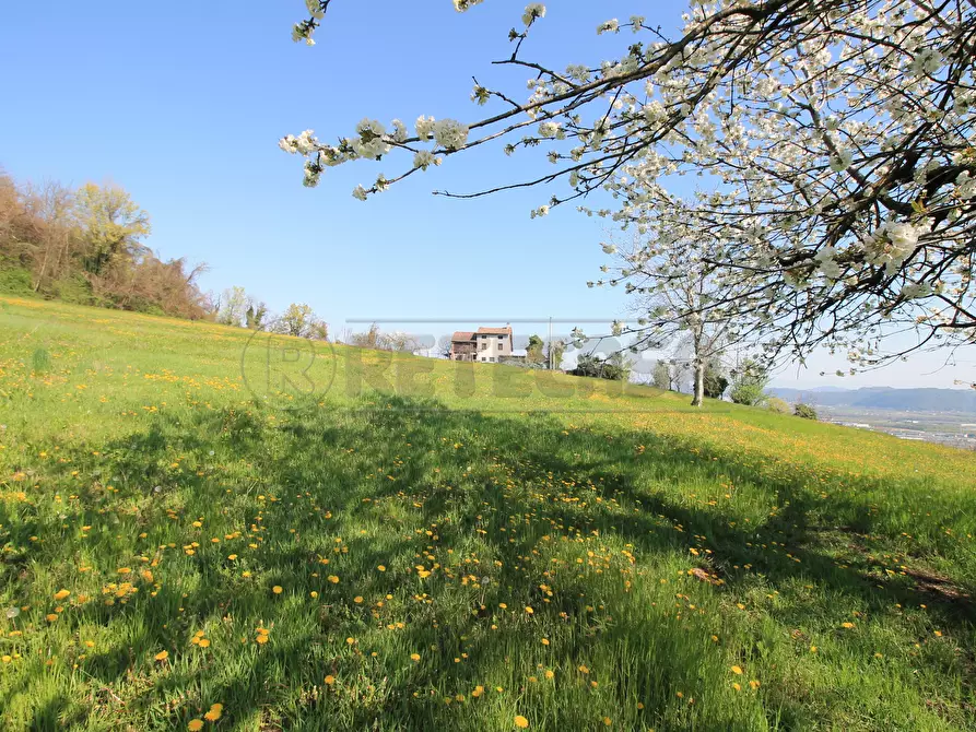 Immagine 3 di Rustico / casale in vendita  in Via San Nicolò 7 a Montorso Vicentino