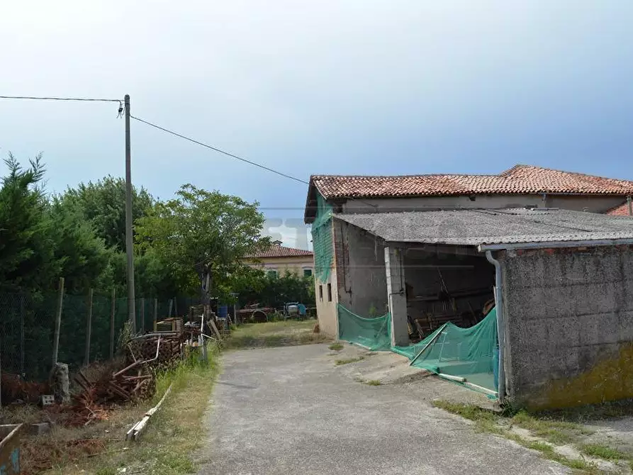 Immagine 9 di Rustico / casale in vendita  in VIA SABBIONARA a Lonigo