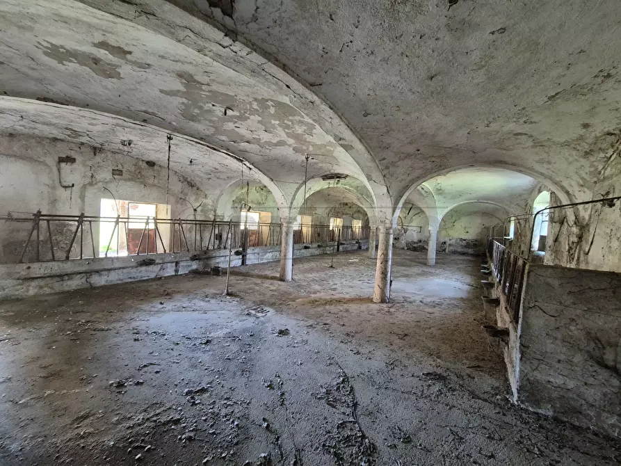 Immagine 11 di Rustico / casale in vendita  in Località Menabue a Gabbioneta Binanuova