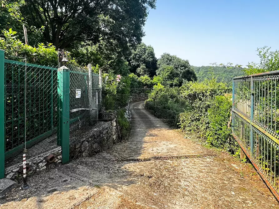 Immagine 2 di Terreno agricolo in vendita  in Via Bazziola a Monteviale