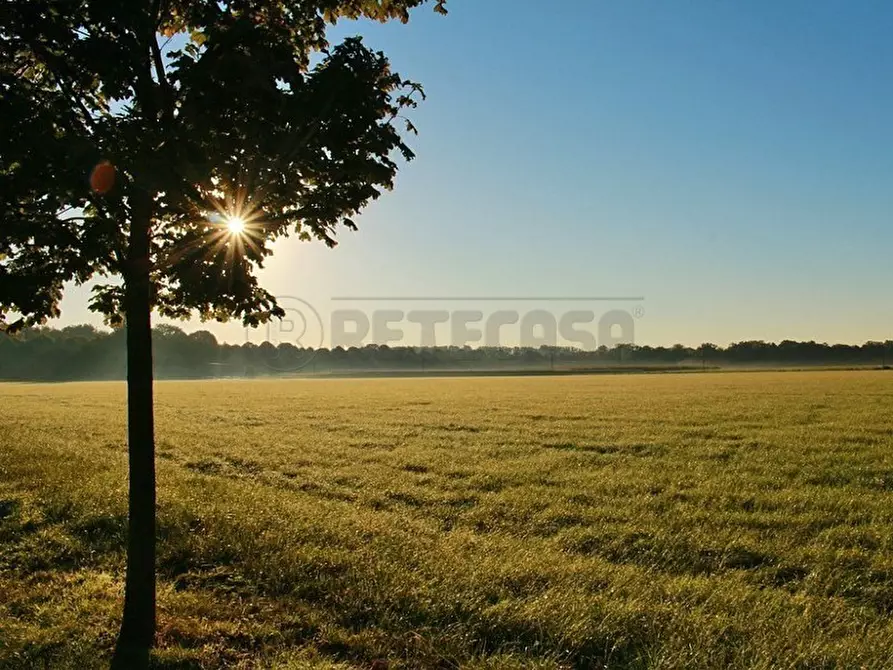 Immagine 7 di Terreno agricolo in vendita  in Via Barcarola 31 a Cadoneghe