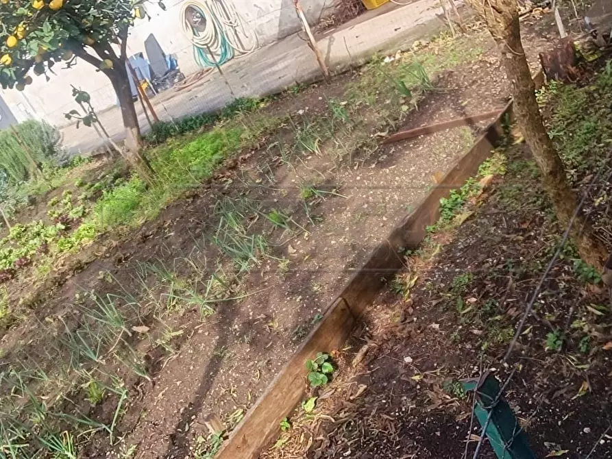 Immagine 3 di Terreno industriale in vendita  in Via Pisa a Marcianise